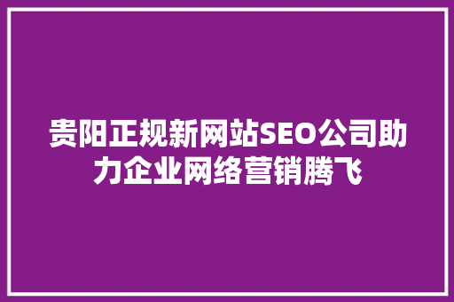 贵阳正规新网站SEO公司助力企业网络营销腾飞