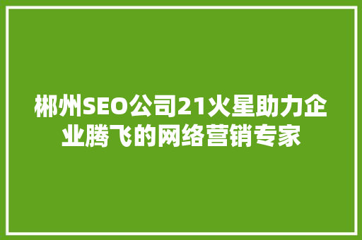 郴州SEO公司21火星助力企业腾飞的网络营销专家