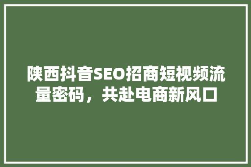 陕西抖音SEO招商短视频流量密码，共赴电商新风口