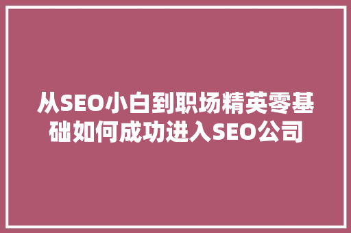从SEO小白到职场精英零基础如何成功进入SEO公司
