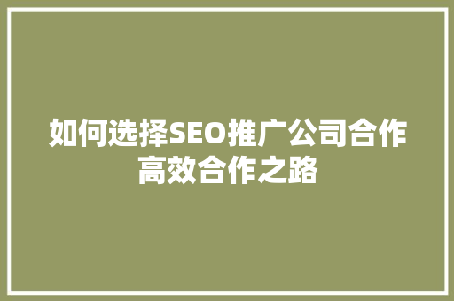 如何选择SEO推广公司合作高效合作之路