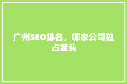 广州SEO排名，哪家公司独占鳌头