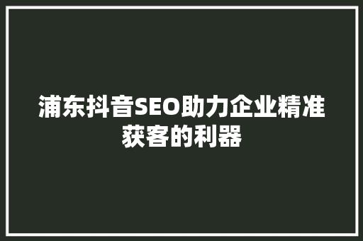 浦东抖音SEO助力企业精准获客的利器