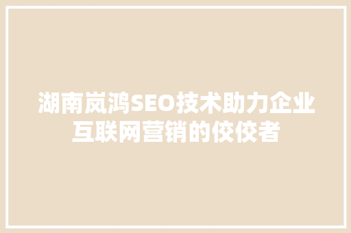 湖南岚鸿SEO技术助力企业互联网营销的佼佼者