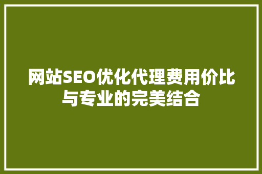 网站SEO优化代理费用价比与专业的完美结合