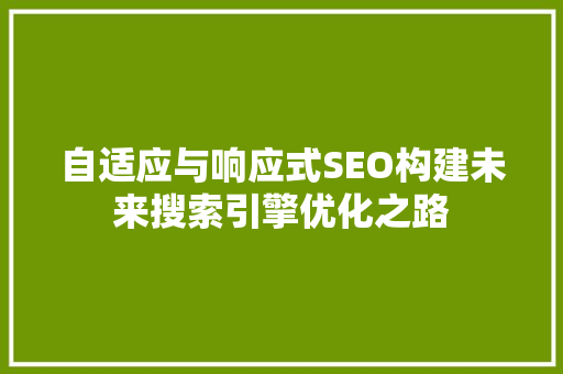 自适应与响应式SEO构建未来搜索引擎优化之路