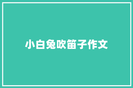 seo优化怎么做快速排名「百度seo排名优化助手」