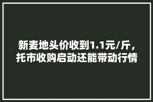 新麦地头价收到1.1元/斤，托市收购启动还能带动行情上涨吗「新乡百度整站优化服务」