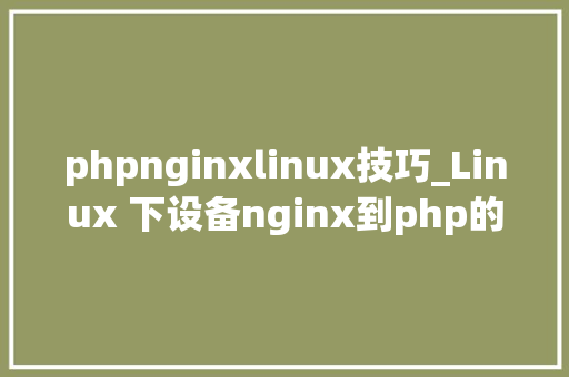 phpnginxlinux技巧_Linux 下设备nginx到php的连接