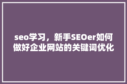 seo学习，新手SEOer如何做好企业网站的关键词优化「seo站内关键词优化」