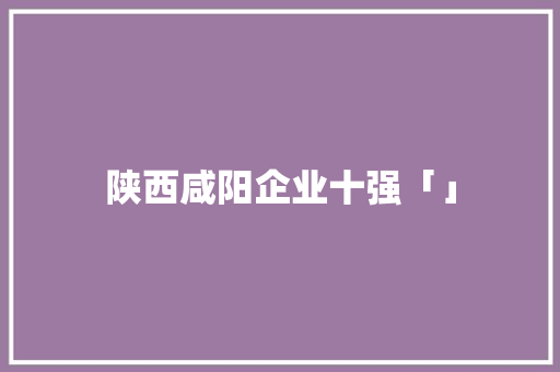 陕西咸阳企业十强「」