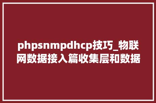 phpsnmpdhcp技巧_物联网数据接入篇收集层和数据传输层协议3