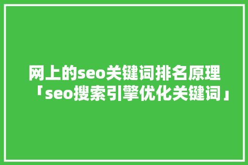 网上的seo关键词排名原理「seo搜索引擎优化关键词」