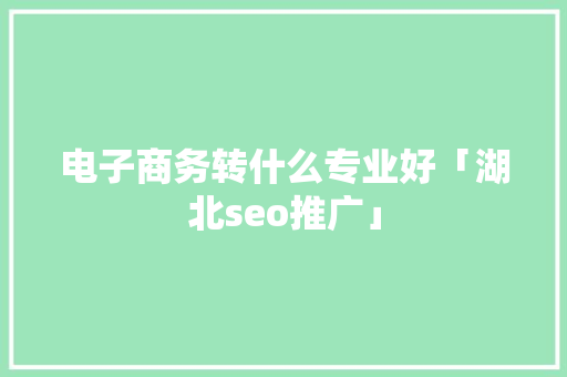 电子商务转什么专业好「湖北seo推广」