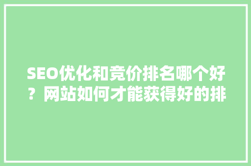 SEO优化和竞价排名哪个好？网站如何才能获得好的排名「seo百度快照优化公司」