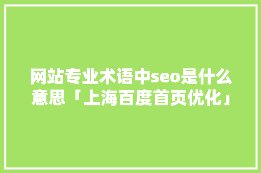 网站专业术语中seo是什么意思「上海百度首页优化」