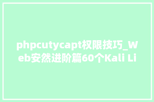 phpcutycapt权限技巧_Web安然进阶篇60个Kali Linux安然测试对象介绍