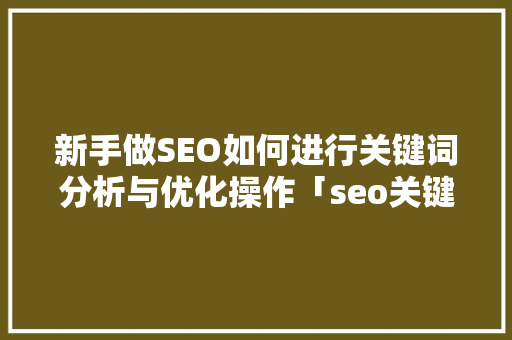 新手做SEO如何进行关键词分析与优化操作「seo关键词优化方法」