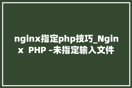 nginx指定php技巧_Nginx  PHP –未指定输入文件