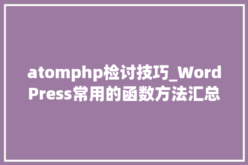 atomphp检讨技巧_WordPress常用的函数方法汇总