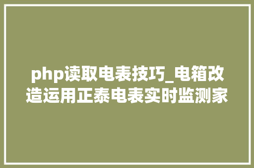 php读取电表技巧_电箱改造运用正泰电表实时监测家顶用电情况