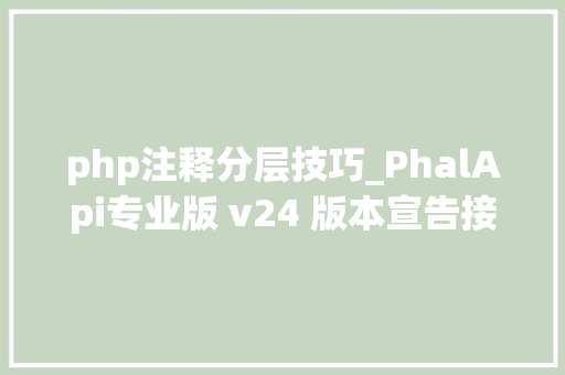 php注释分层技巧_PhalApi专业版 v24 版本宣告接口开拓快人一步