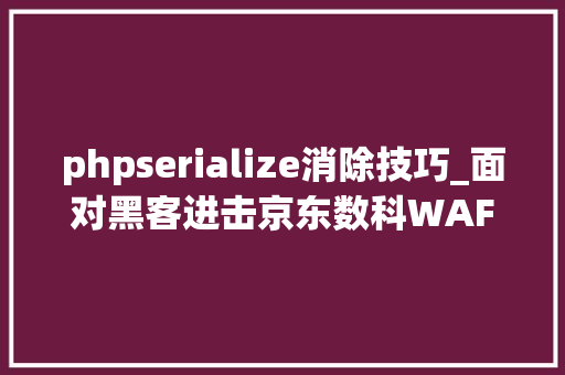 phpserialize消除技巧_面对黑客进击京东数科WAF培植这样做