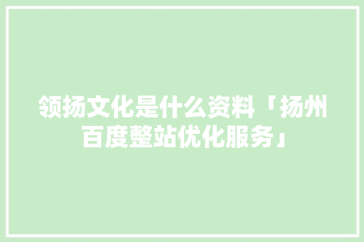 领扬文化是什么资料「扬州百度整站优化服务」