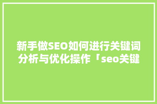 新手做SEO如何进行关键词分析与优化操作「seo关键词优化举例」
