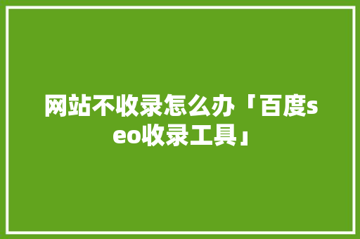 网站不收录怎么办「百度seo收录工具」