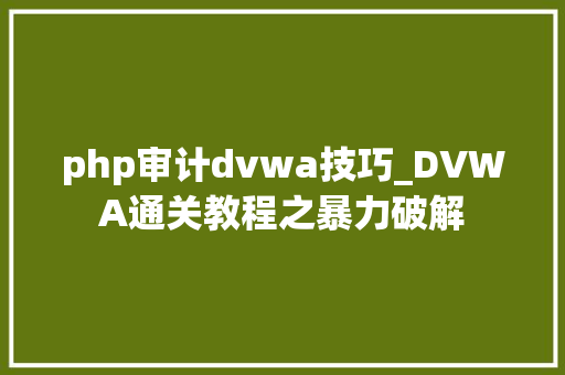 php审计dvwa技巧_DVWA通关教程之暴力破解