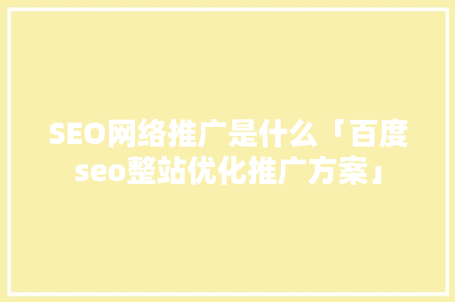 SEO网络推广是什么「百度seo整站优化推广方案」