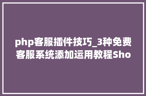 php客服插件技巧_3种免费客服系统添加运用教程ShopifyWordPressOpencart