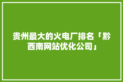 贵州最大的火电厂排名「黔西南网站优化公司」