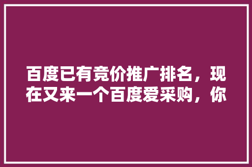 百度已有竞价推广排名，现在又来一个百度爱采购，你怎么看「百度seo正规优化」