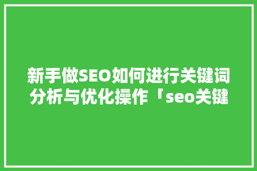 新手做SEO如何进行关键词分析与优化操作「seo关键词优化步骤有哪些」