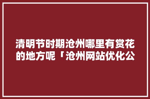 清明节时期沧州哪里有赏花的地方呢「沧州网站优化公司」