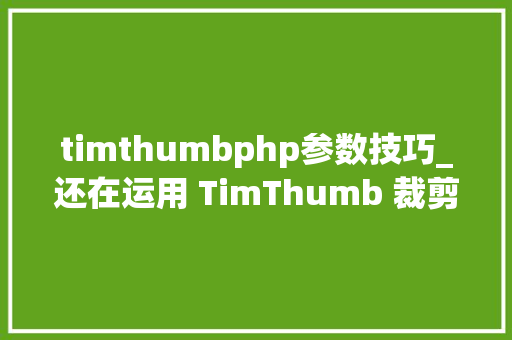 timthumbphp参数技巧_还在运用 TimThumb 裁剪图片的 WordPress 主题一律不要再用了