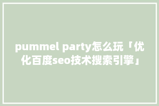 pummel party怎么玩「优化百度seo技术搜索引擎」