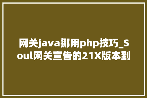 网关java挪用php技巧_Soul网关宣告的21X版本到底有多方便牛逼