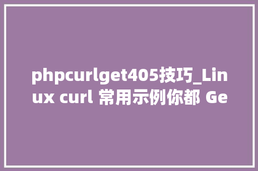 phpcurlget405技巧_Linux curl 常用示例你都 Get 了吗 CSDN 博文精选