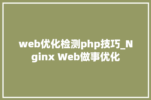 web优化检测php技巧_Nginx Web做事优化