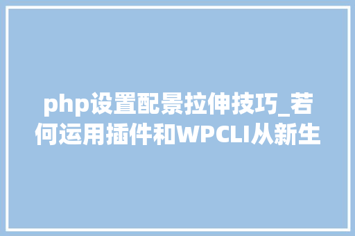 php设置配景拉伸技巧_若何运用插件和WPCLI从新生成WordPress缩略图