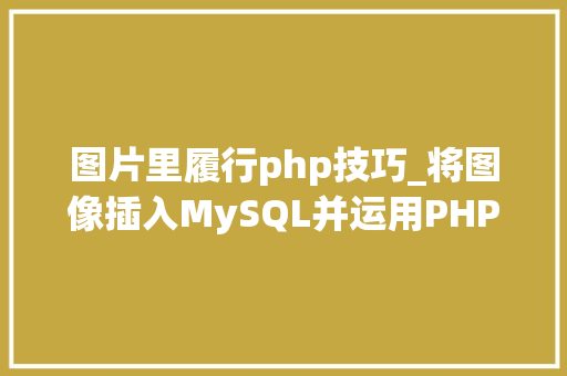 图片里履行php技巧_将图像插入MySQL并运用PHP检索图像