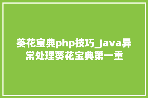 葵花宝典php技巧_Java异常处理葵花宝典第一重