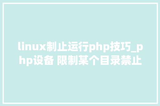linux制止运行php技巧_php设备 限制某个目录禁止解析php 限制user_agent