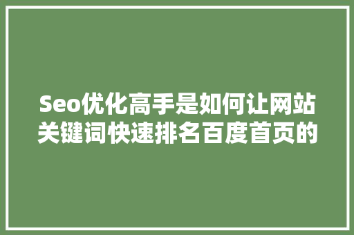 Seo优化高手是如何让网站关键词快速排名百度首页的「优化百度seo技术搜索引擎」