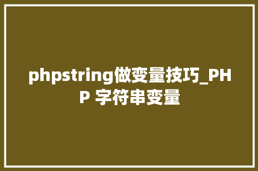 phpstring做变量技巧_PHP 字符串变量