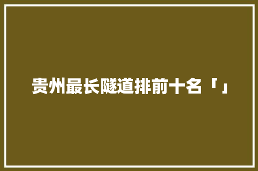 贵州最长隧道排前十名「」
