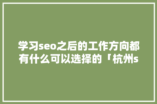 学习seo之后的工作方向都有什么可以选择的「杭州seo网站优化公司」